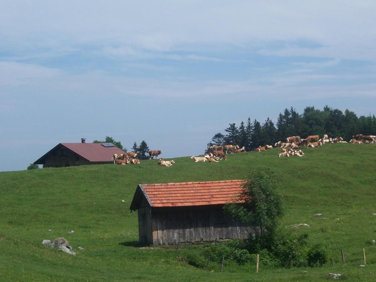 Weberhof Διαμέρισμα Samerberg Εξωτερικό φωτογραφία